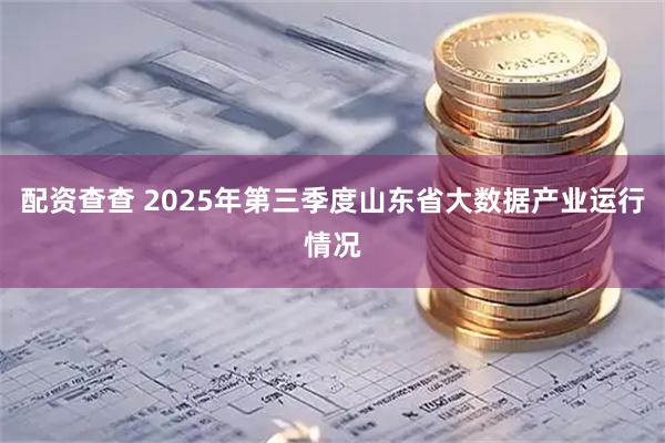 配资查查 2025年第三季度山东省大数据产业运行情况